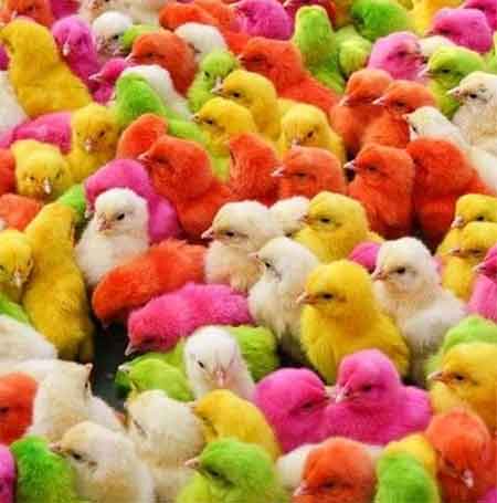 دانلود آهنگ دلبر غلام عباس حسن زاده